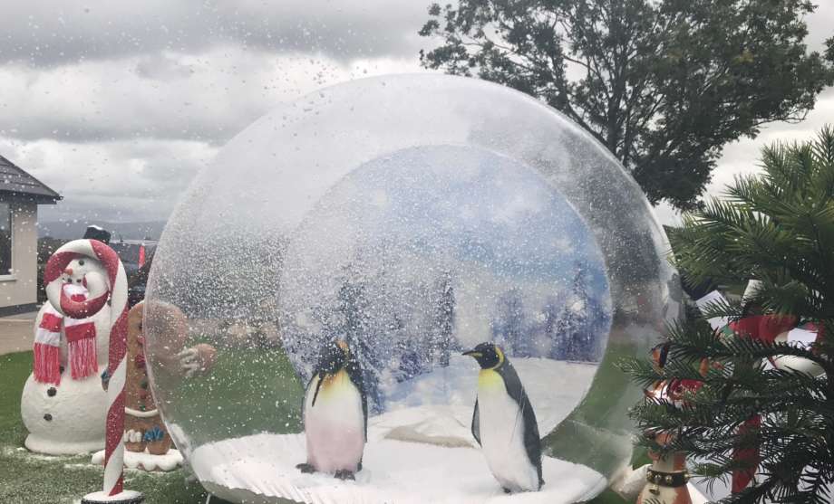 Penguins In Snow Globe 1